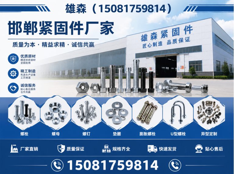 肥乡区高强度螺母展示图